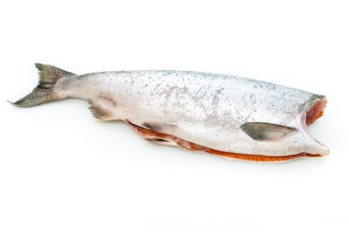 Нерка (Россия)