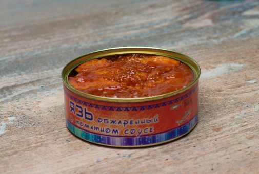 Северный ЯЗЬ (г.Салехард)