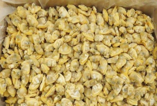 Мясо клем 300-500 (Китай)